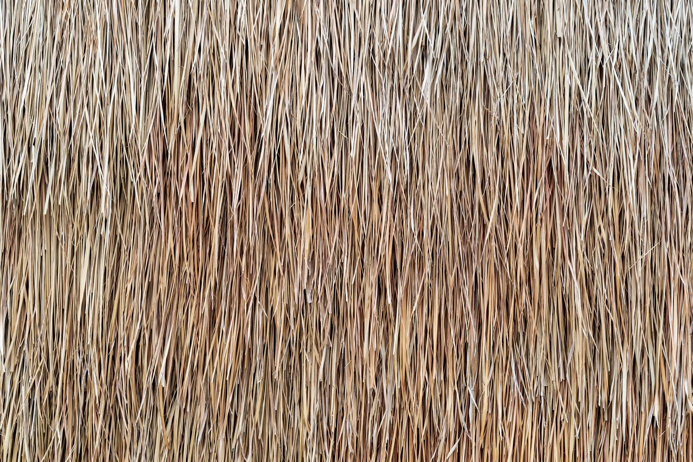 Mur épais et lumière filtrée