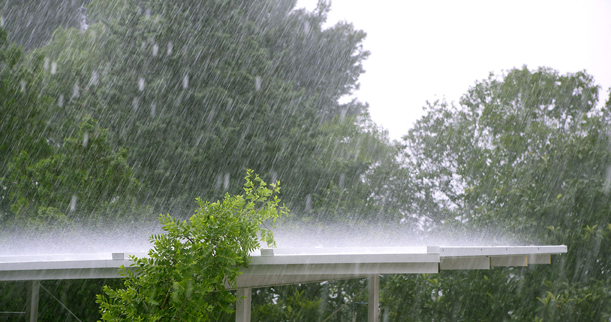 Pluie intense sur une toiture végétalisée